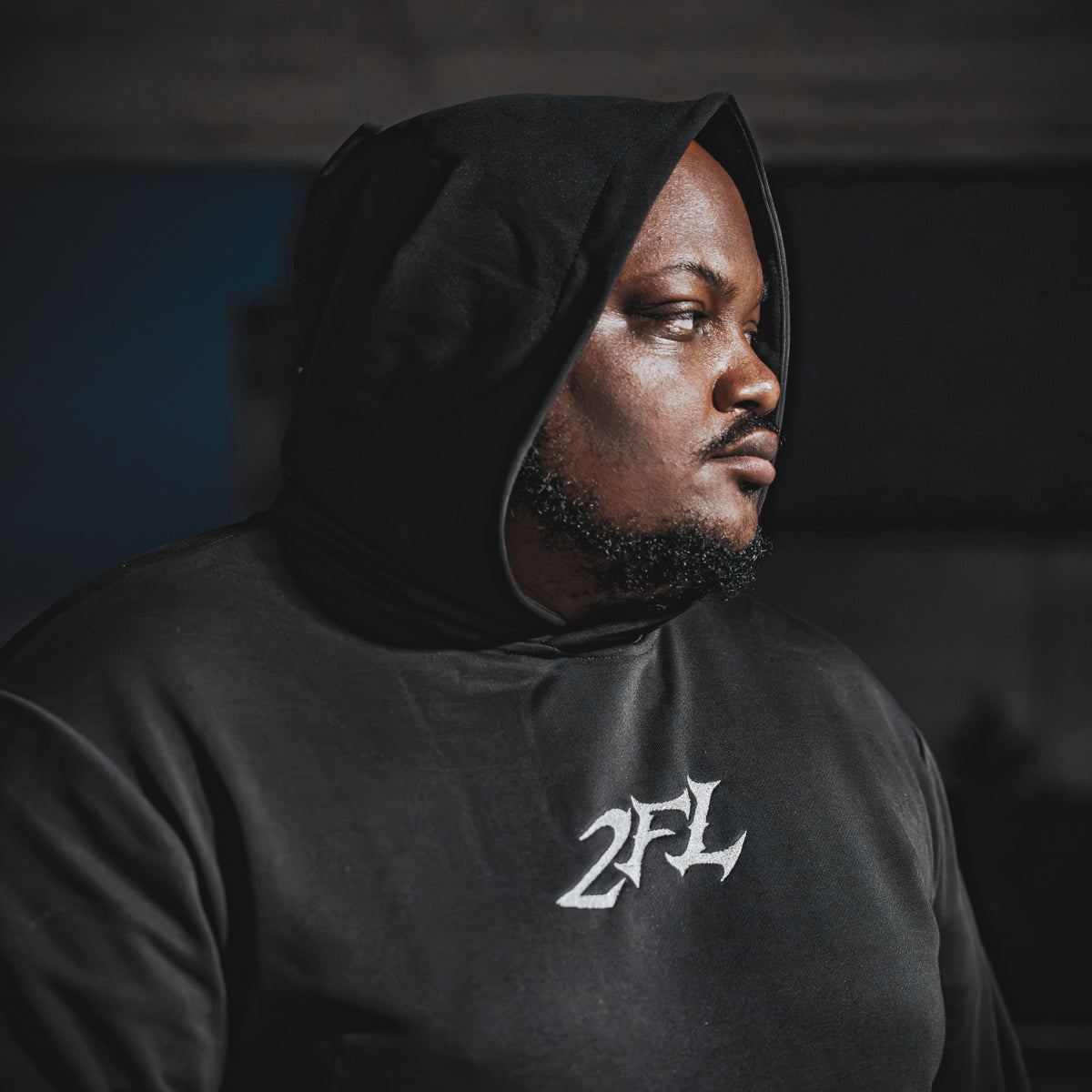DSD V2 — Premium Hoodie